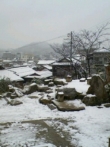 ますますますざき日記