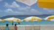 ますますますざき日記